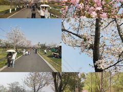 -长田漾湿地公园