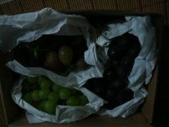 -马陆小张葡萄园农家乐