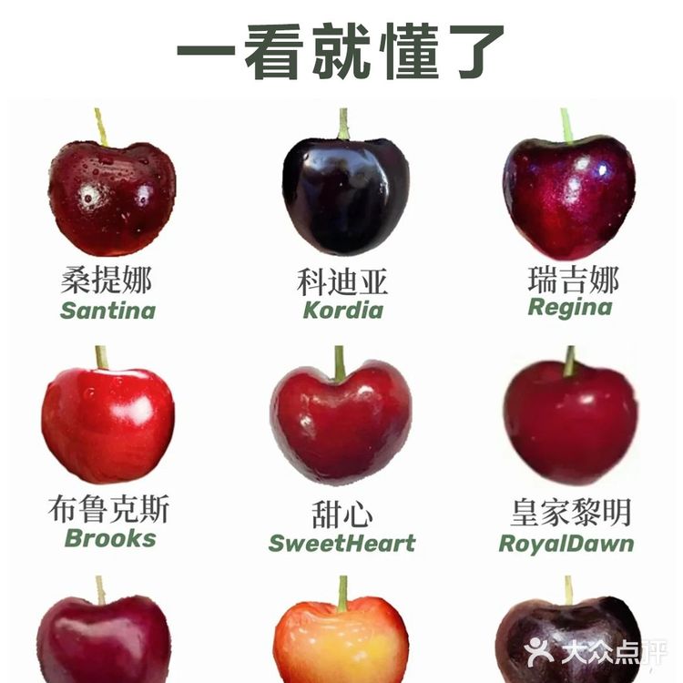 常见车厘子｜甜度大小｜一看就懂了