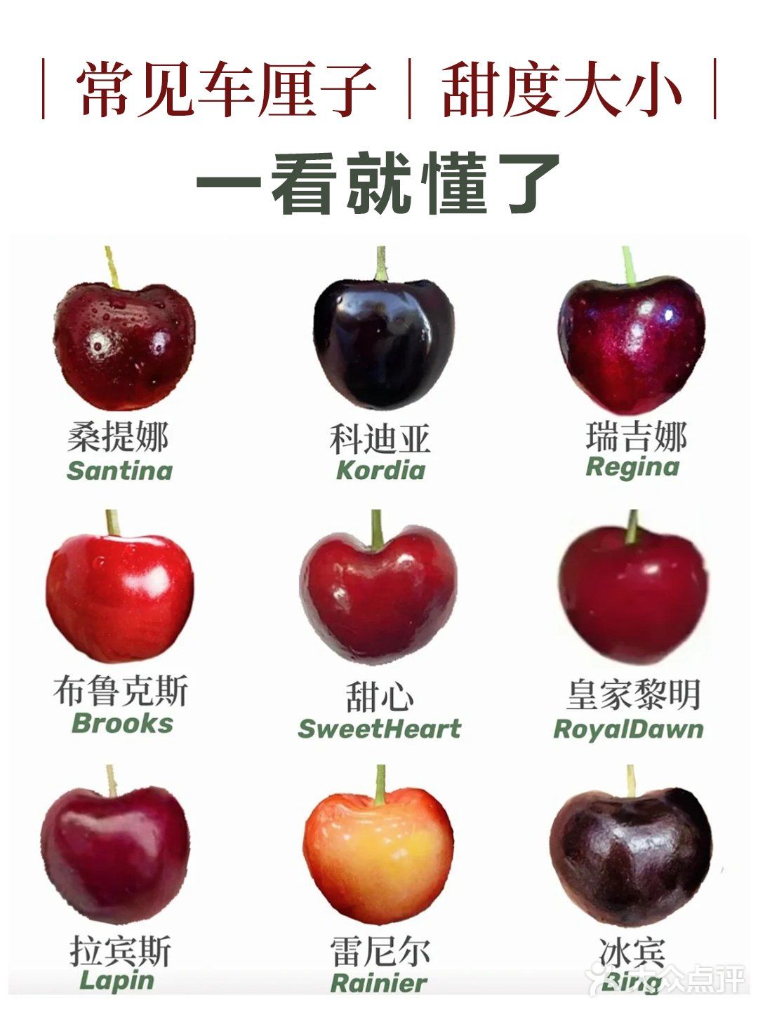 常见车厘子｜甜度大小｜一看就懂了