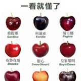 常见车厘子｜甜度大小｜一看就懂了