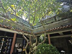 -东莞市可园博物馆