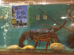 -国家五钻酒家·西樵旺阁渔村(西樵店)