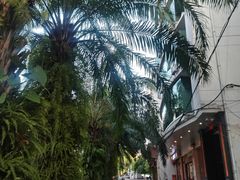 -品德宏·孔雀宴的发源地(金塔园店)