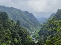 -娄山关景区