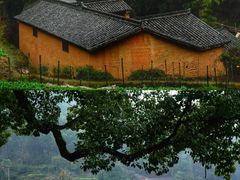 -杨家堂村