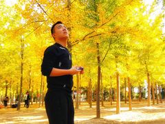 -汉景帝阳陵博物院