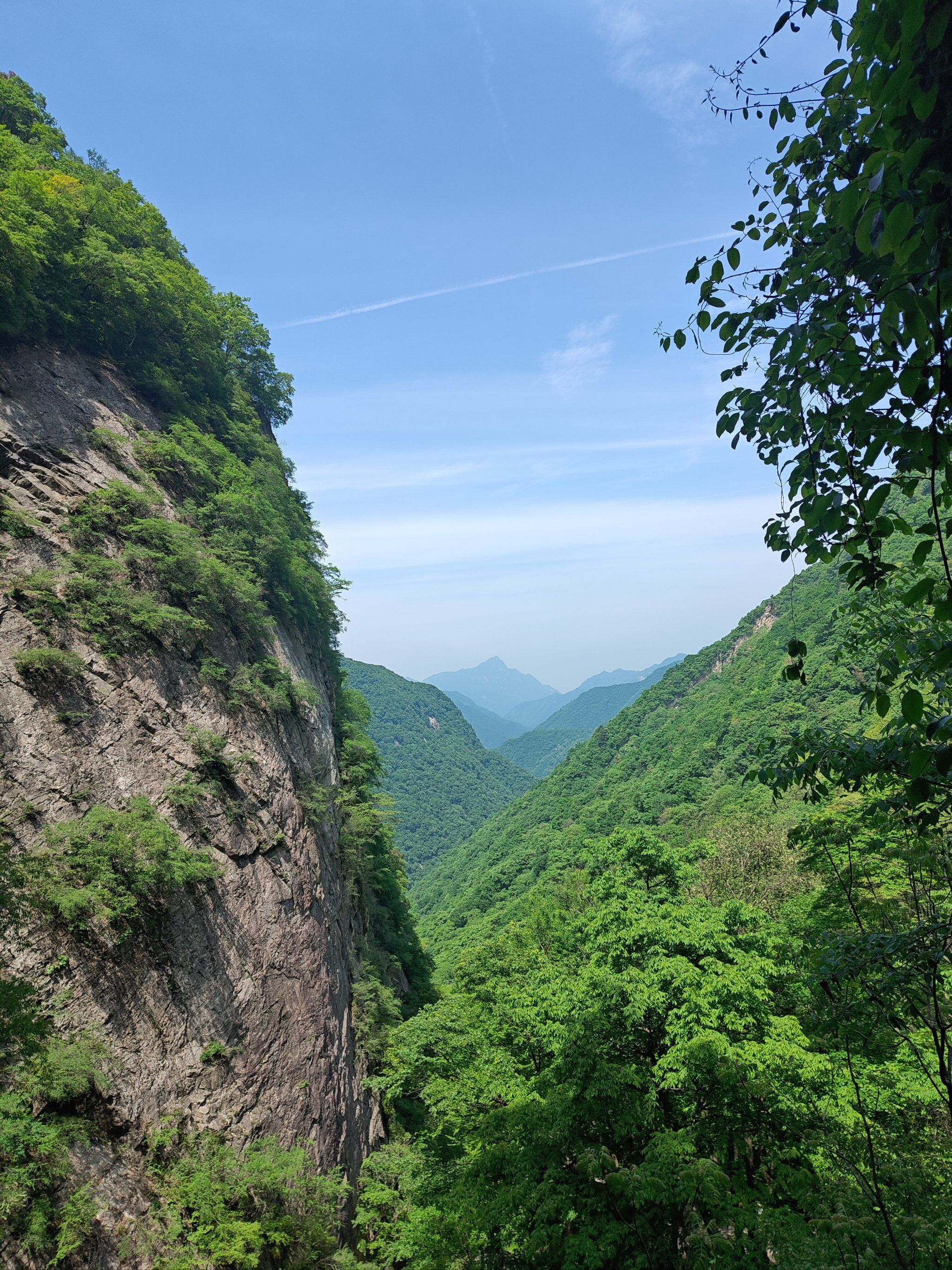天天领红包太平国家森林真的是一个不错的风景区,里面也很凉快适合