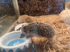 -哈尔滨北方森林动物园