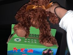 -宁波九龙湖开元度假村