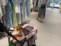 -京津佛罗伦萨小镇