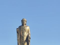 -中原大佛景区