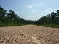 -汉长安城未央宫国家考古遗址公园