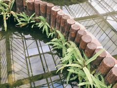 -上海鲜花港