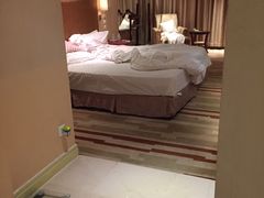 -电谷雅阁国际大酒店