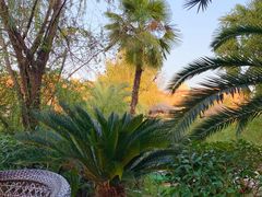 -咸宁万豪温泉谷度假区