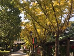 -旺福楼(钱家坞总店)