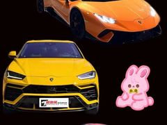 -超跑熊跑车俱乐部