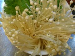 -喀尔喀大草原牛骨锅(幻星家园店)