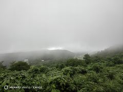 -武陵山森林公园