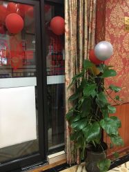 -OBN欧碧奴美容连锁