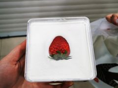 -侘寂甜品(自取店)