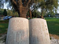 -大连铭湖国际观光牧场