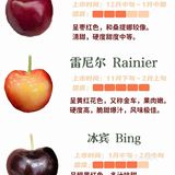 常见车厘子｜甜度大小｜一看就懂了