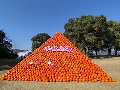 -上海月湖雕塑公园