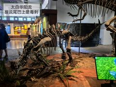 -自贡恐龙博物馆