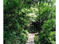 -青龙山国家森林公园