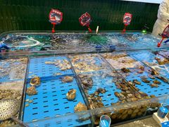 -双合园·海鲜水饺青岛菜(九水东路店)