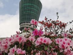 -梧桐山风景名胜区