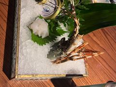 -Mr.Fish鱼鲜生海鲜放题(高德置地冬广场店)