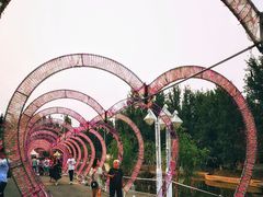 -顺鑫绿色度假村