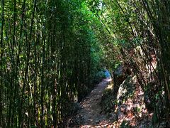 景点-井空里大峡谷