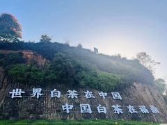 -华祥苑茶馆•国缤茶小蓝罐(普罗旺斯店)