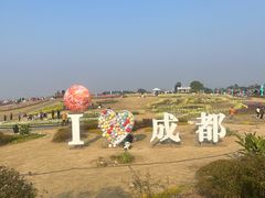 -空港花田景区