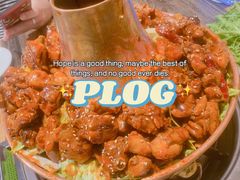 -刘记光大火锅鸡(北行店)