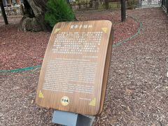 -黄帝陵