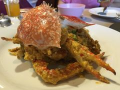 -Red Lobster