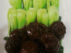 香菇油菜-燕春楼(海河华鼎店)