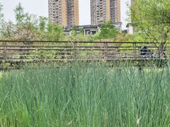 -沐仙湖湿地公园