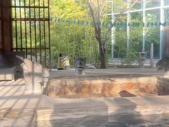 -中家鑫园温泉酒店鑫悦汤泉