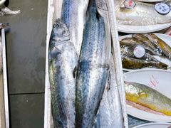 -开海·红岛海鲜虾水饺(石老人店)