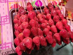 -沈阳奥体冰雪嘉年华