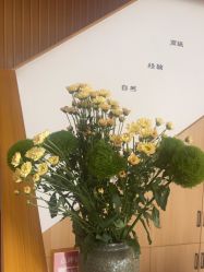 -宥莉·ULLY 痘敏肌•科技皮肤管理中心