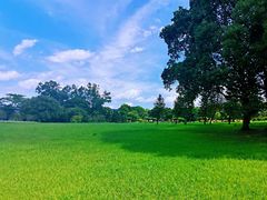 -福建鲤鱼洲酒店