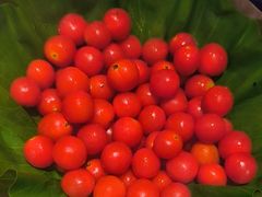 -冠菌火锅自助(东莞桥头店)