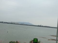 -八仔大富楼·河鲜(西江店)